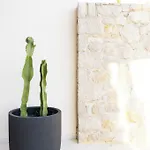 Anassia Apartament *
