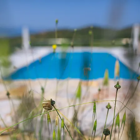 Apartman Anassia *