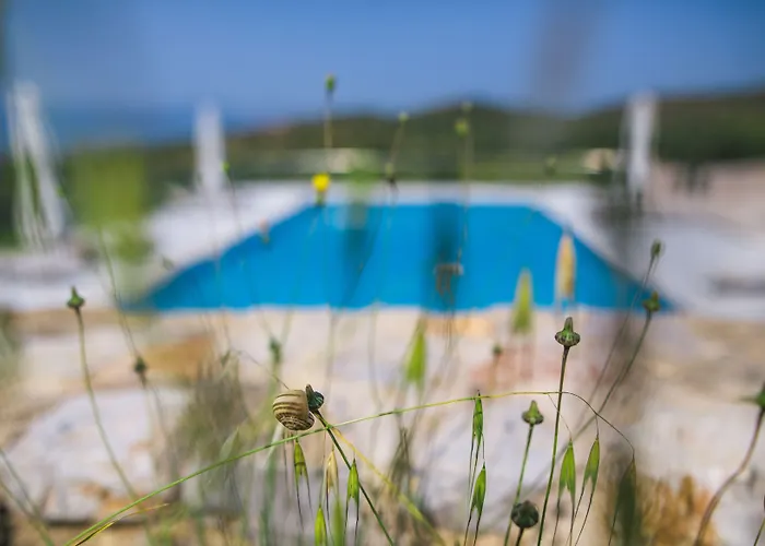 Apartman Anassia *