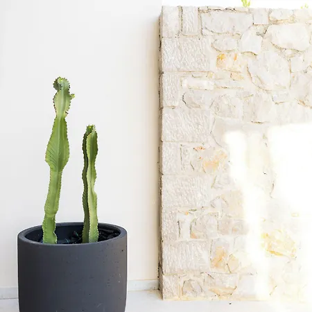 Anassia Апартаменты *