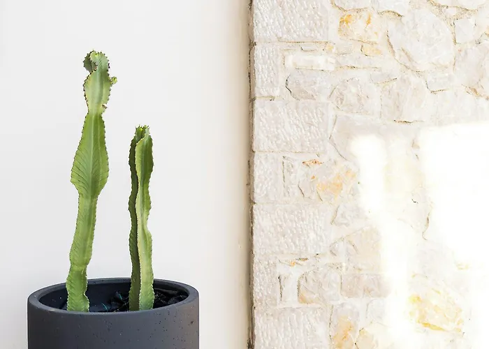 Anassia Appartement *