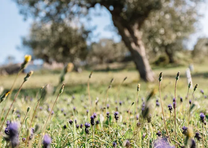 Apartamento Anassia Nauplia